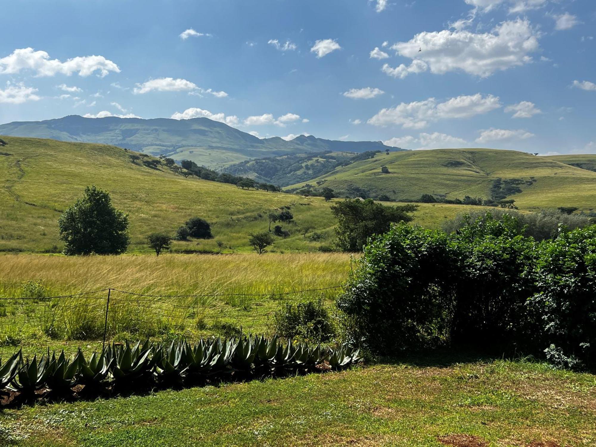 Wyford Farm Villa Van Reenen Exterior photo